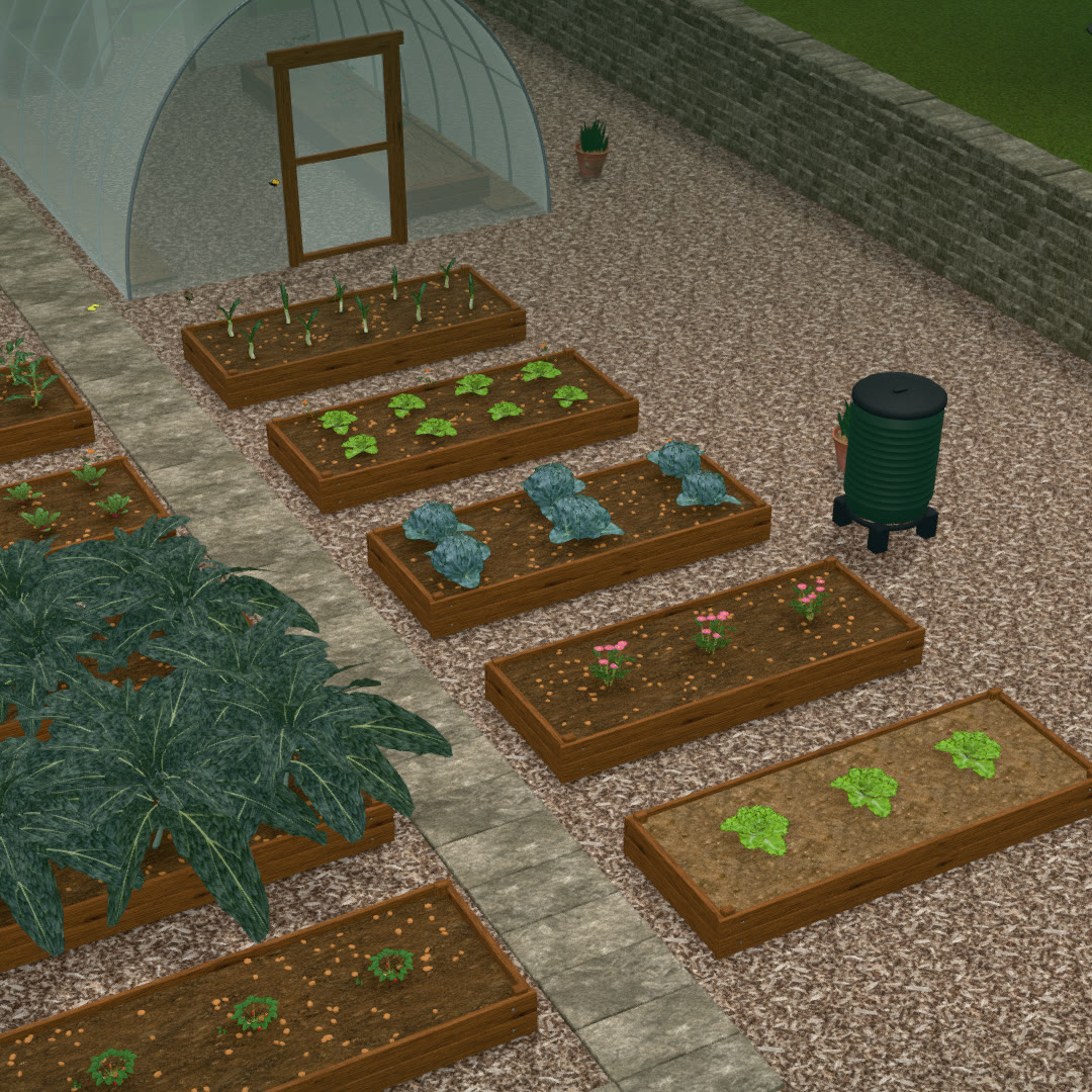 Vegetables growing in raised beds in Garden Together